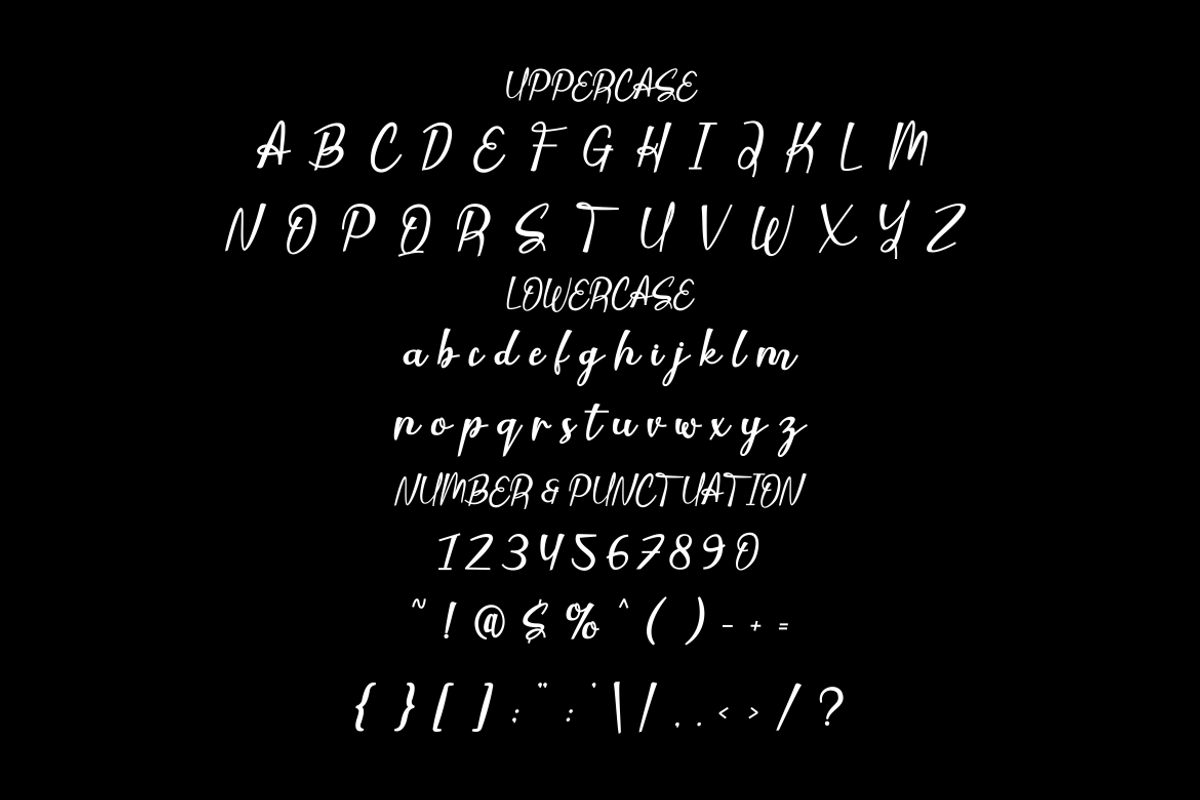 Serenive Script Font, a Script Font by PutraCetol Studio (Photo 5 of 5)