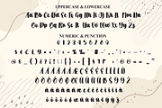 Letter Sunday | Script Font, a Handwritten Font by Scratchones (Thumbnail 7 of 9)