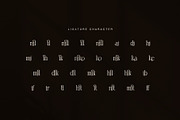 Manillo Elegant Serif Font, a Serif Font by Graphicxell (Thumbnail 8 of 8)