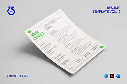 Resume Template Vol. 12