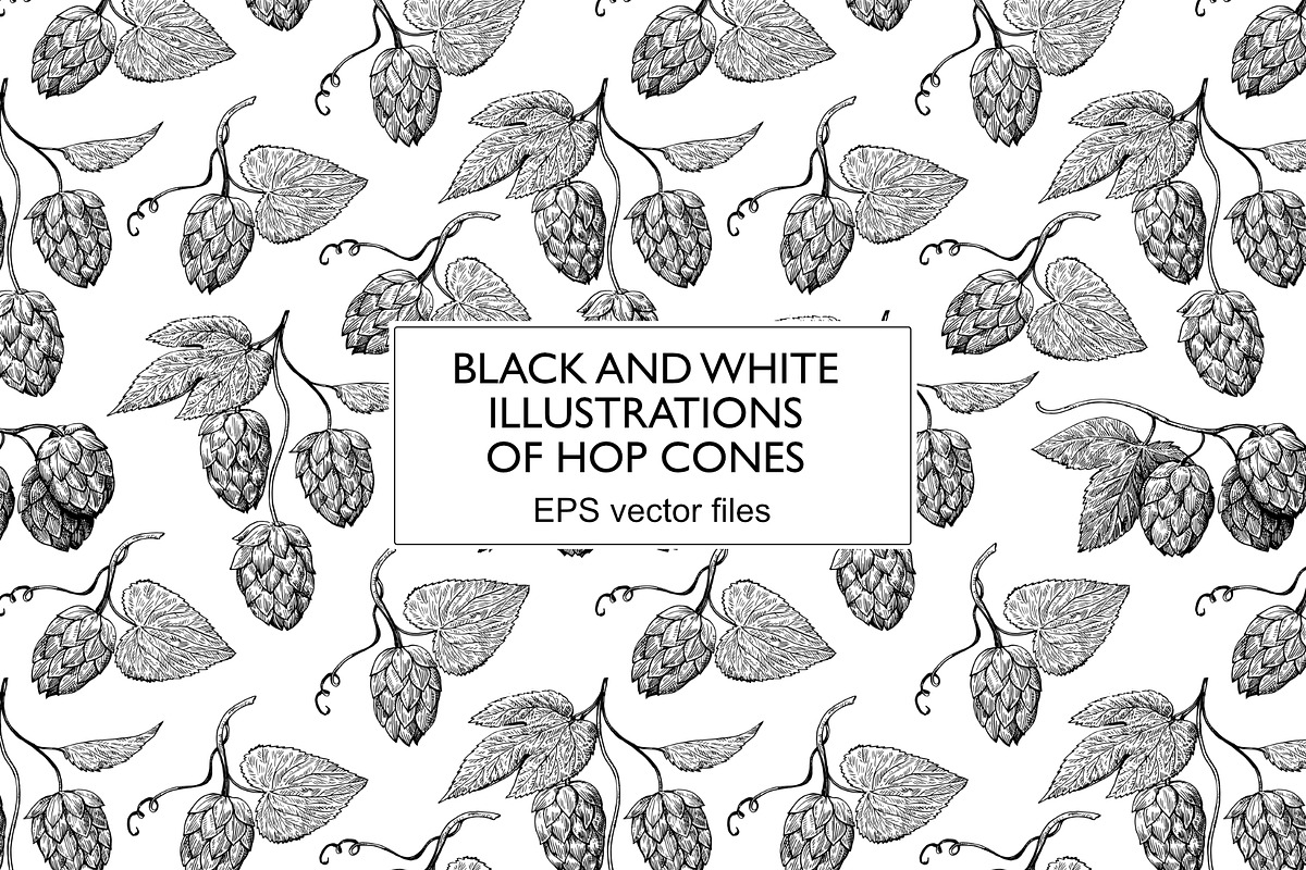 Black and white illustrations of hop, a Food Illustration by Robusta