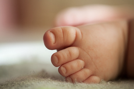 Close up of newborn baby leg. Beautiful newborn baby legs on a soft blanket, a Person Photo by Rohan Photography