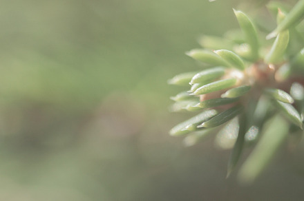 Calmness VI preview 6