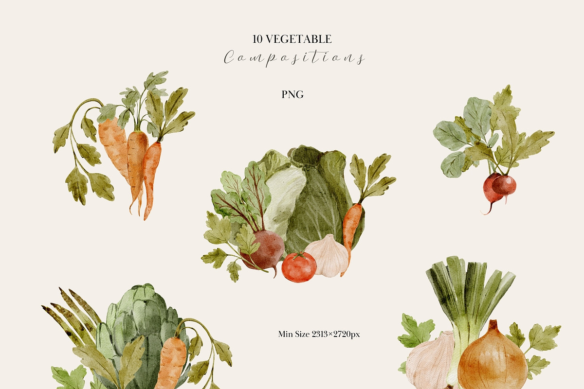 Watercolor Vegetables Collection, a Food Illustration by Jenteva Art (Photo 3 of 15)