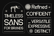 DV Emore, a Sans Serif Font by Damelev (Thumbnail 7 of 13)