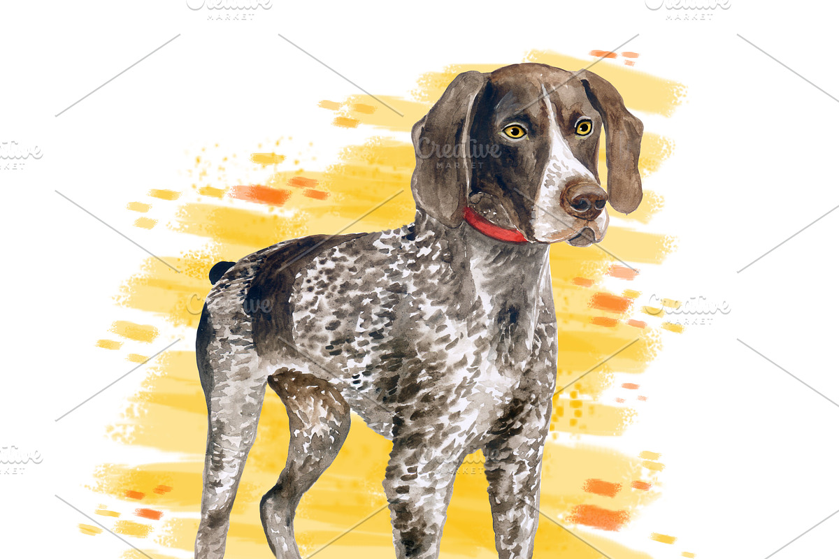 Watercolor Dogs Mega Big Bundle, an Illustration by Dneprstock (Photo 43 of 60)