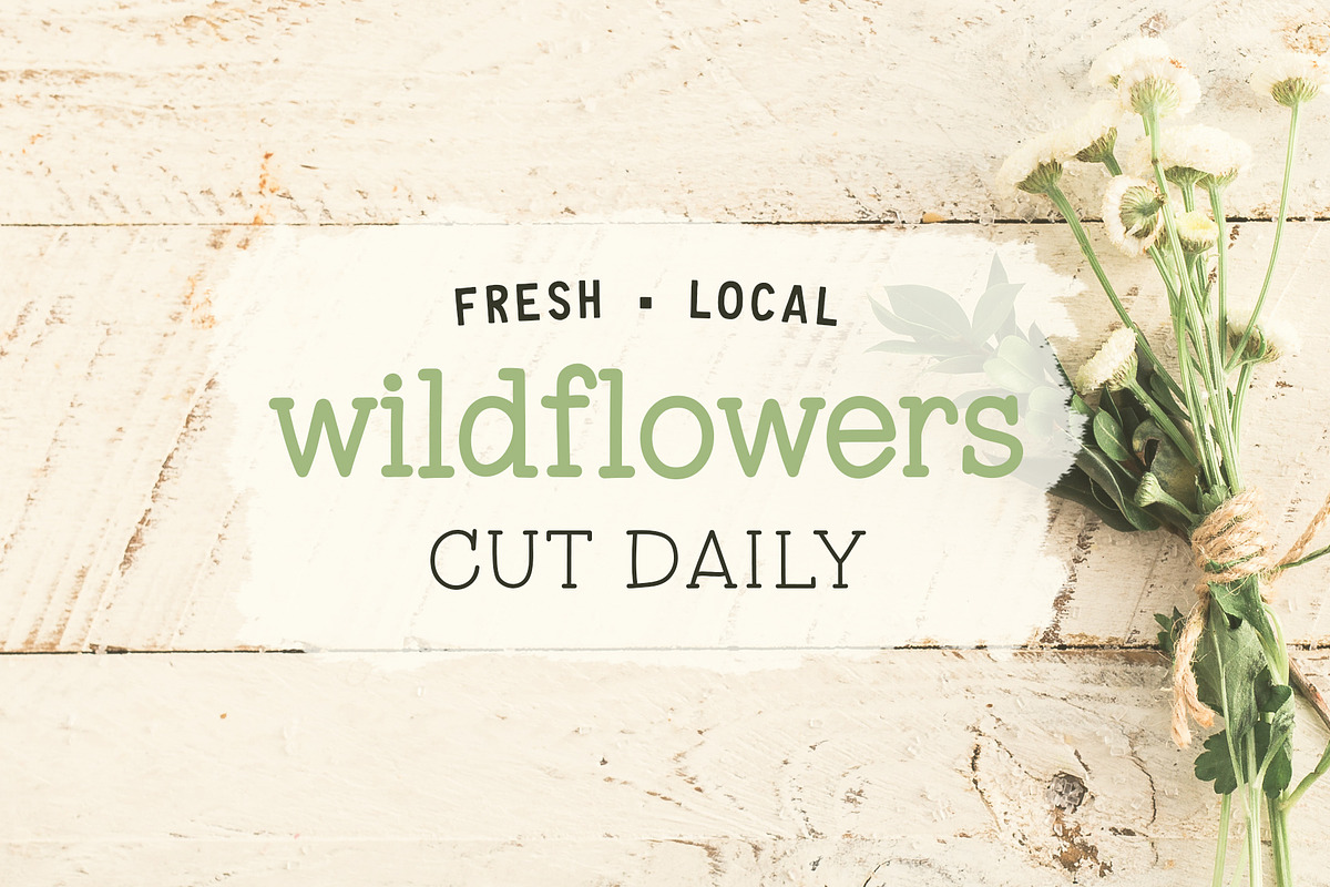 Tupelo Honey | A Charming Slab Serif preview 4