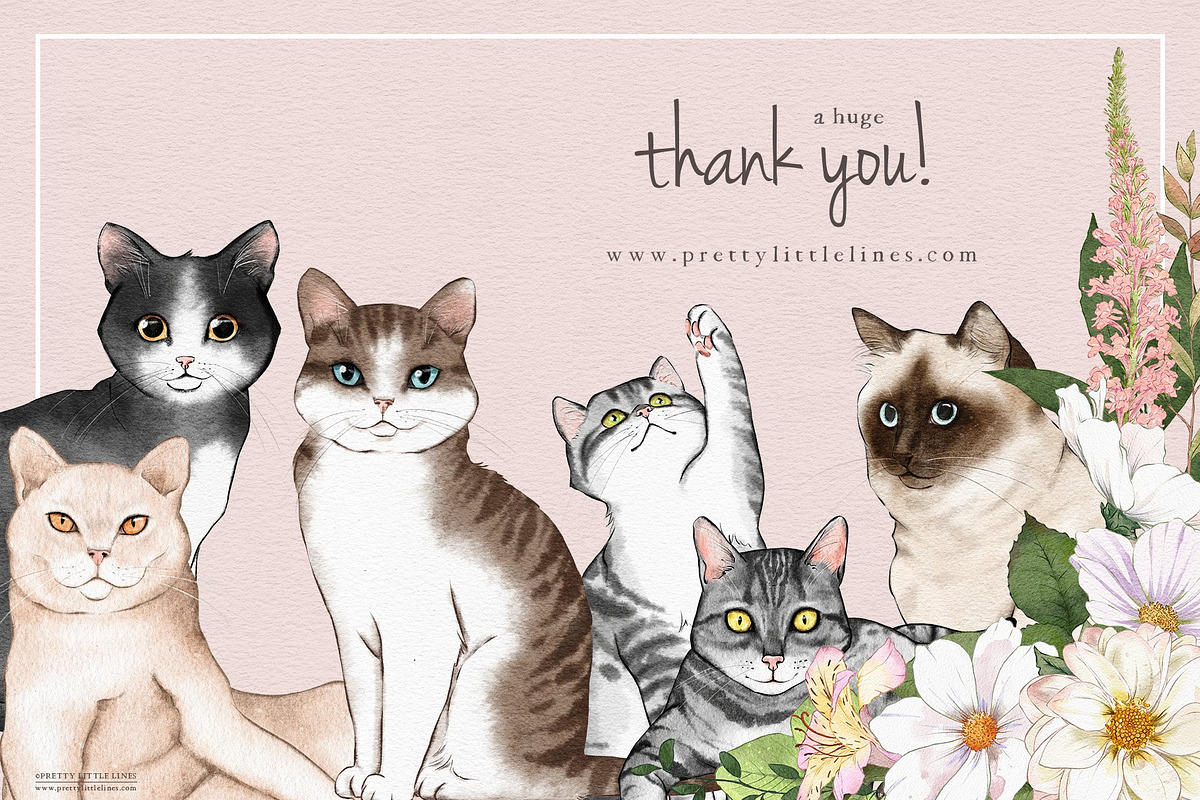 Cat Illustrations Patterns & Borders, a Graphic by Pretty Little Lines (Photo 17 of 17)