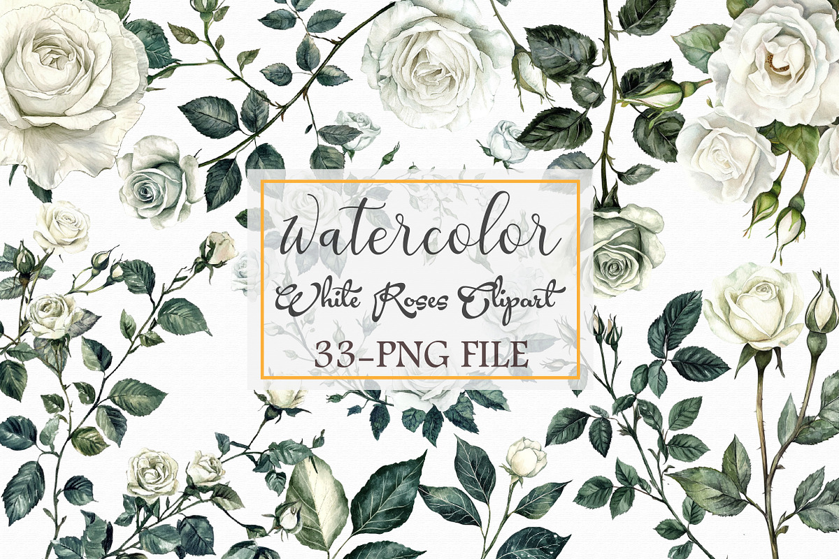 Watercolor White Roses Clipart, an Illustration by Libby Wishes (Photo 1 of 3)