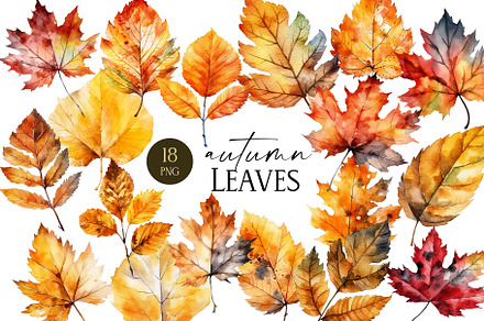 Autumn leaves clipart bundle