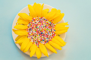 Sunflower, Yellow flower, Candy Cake