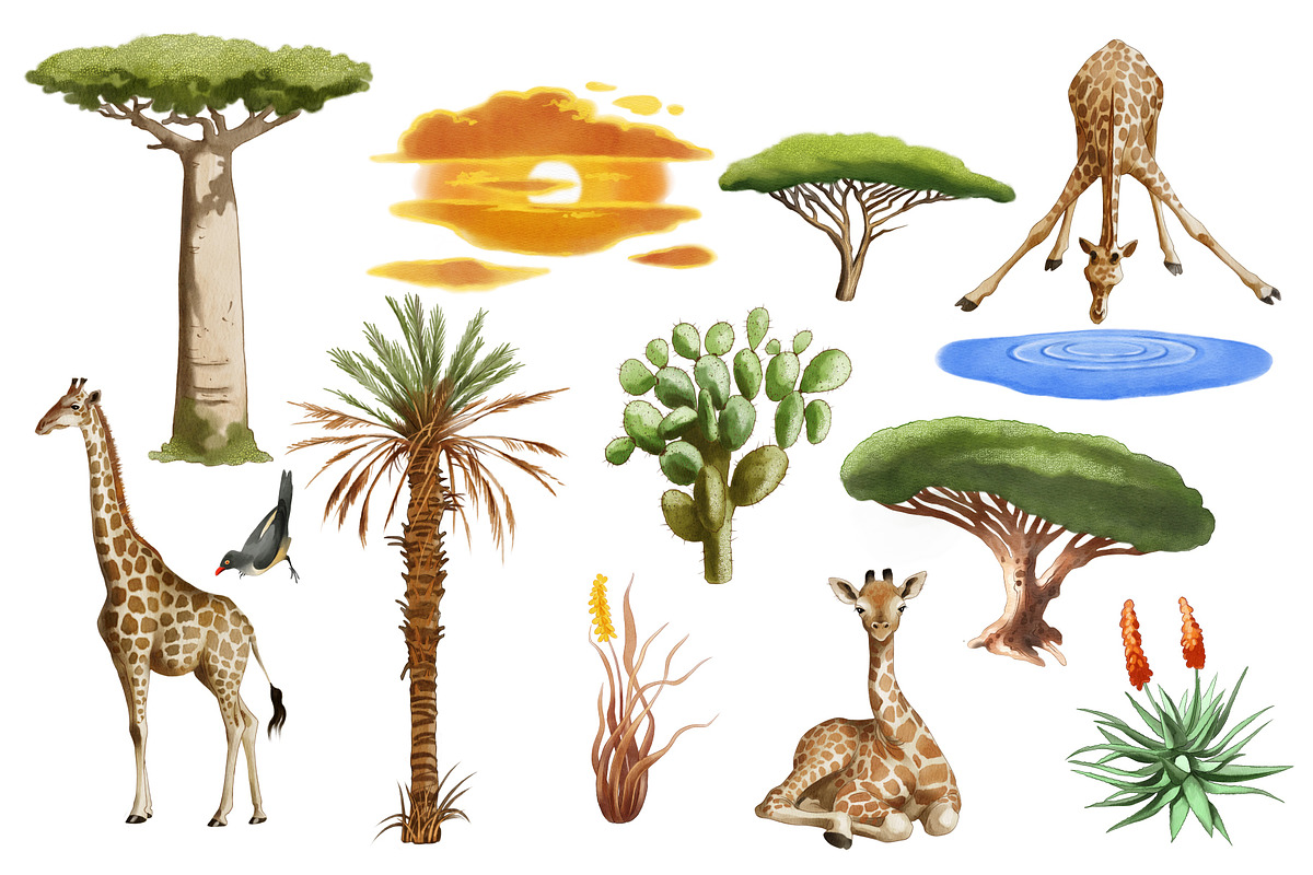 Watercolor Giraffes, an Animal Illustration by IrynaPanashii (Photo 2 of 9)