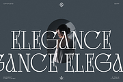 Bright Legacy - Family Luxury Font, a Serif Font by Say Studio (Thumbnail 3 of 10)
