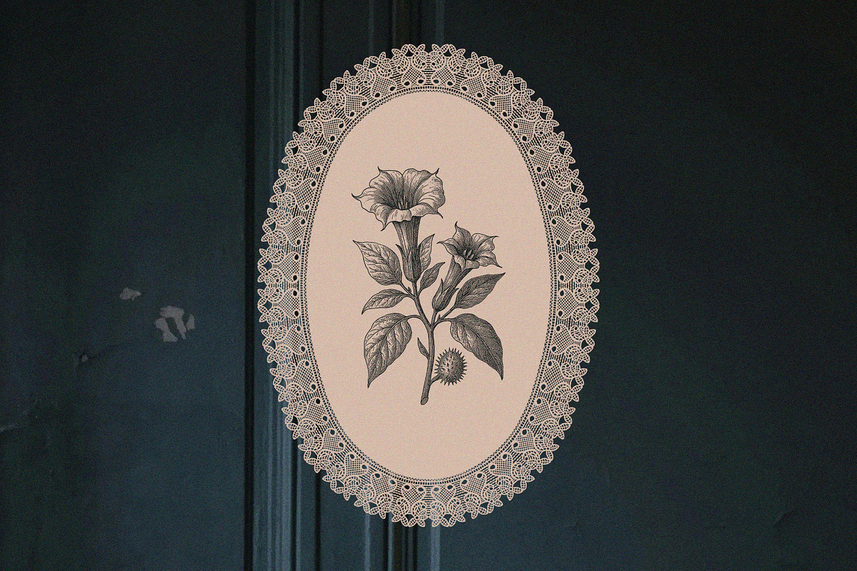 Lace & Grace Vol 2. Hand-Drawn Lace, an Object Graphic by AnMark (Photo 15 of 17)