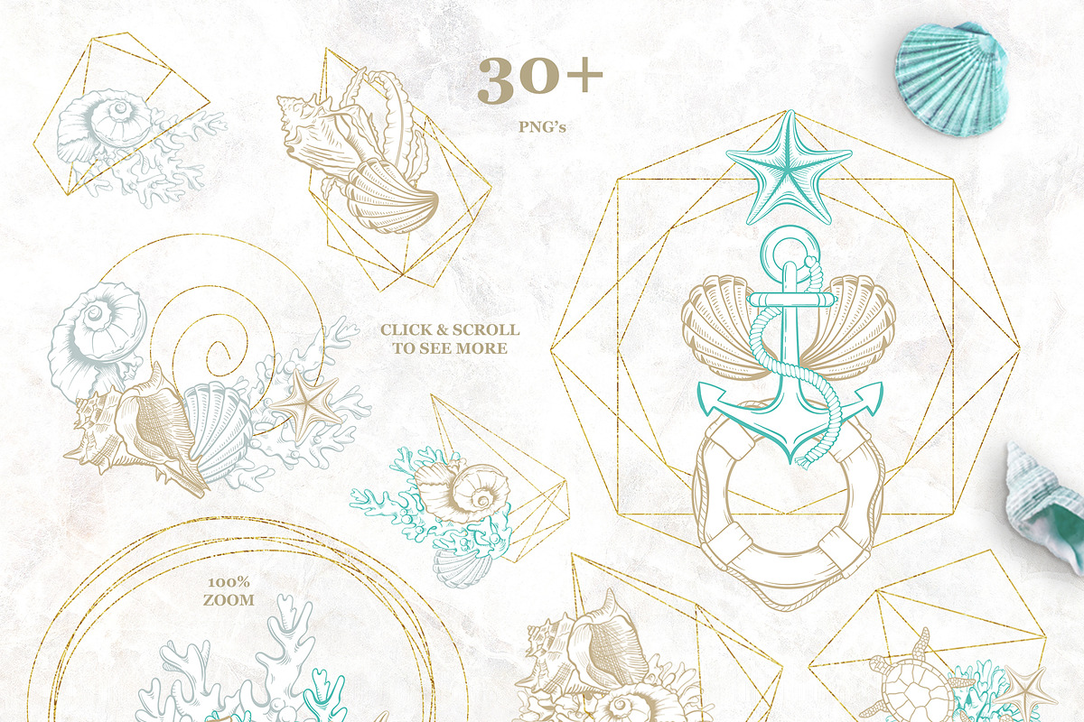 Golden Seashells Collection, an Object Graphic by ilonitta (Photo 7 of 19)