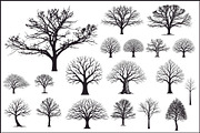Leafless Tree SVG Bundle, an Illustration by Designer_Momina (Thumbnail 1 of 3)