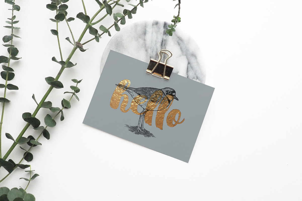 Hand Drawn Shorebirds Set, an Animal Illustration by Well Rock Designs (Photo 7 of 8)