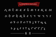 Always Memorable - Luxury Branding, a Serif Font by RagamKata (Thumbnail 9 of 10)