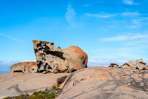 Remarkable Rocks in Flinders Chase National Park, Kangaroo Islan, an Animal Photo by GoodGoods