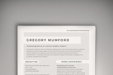 Echo CV/Resume (DOC + PSD)