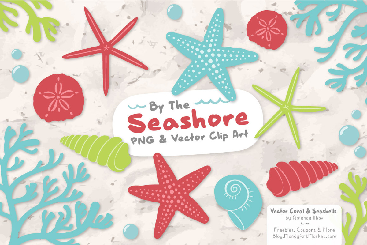 Seashells Clipart in Fresh, an Illustration by Amanda Ilkov (Photo 1 of 5)