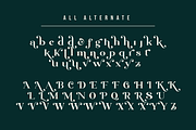 Blue Village – Modern / Vintage Font, a Serif Font by Issam Type (Thumbnail 11 of 12)