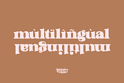 Brighton Vintage - Modern Serif Font, a Serif Font by dealitastudio (Thumbnail 9 of 10)