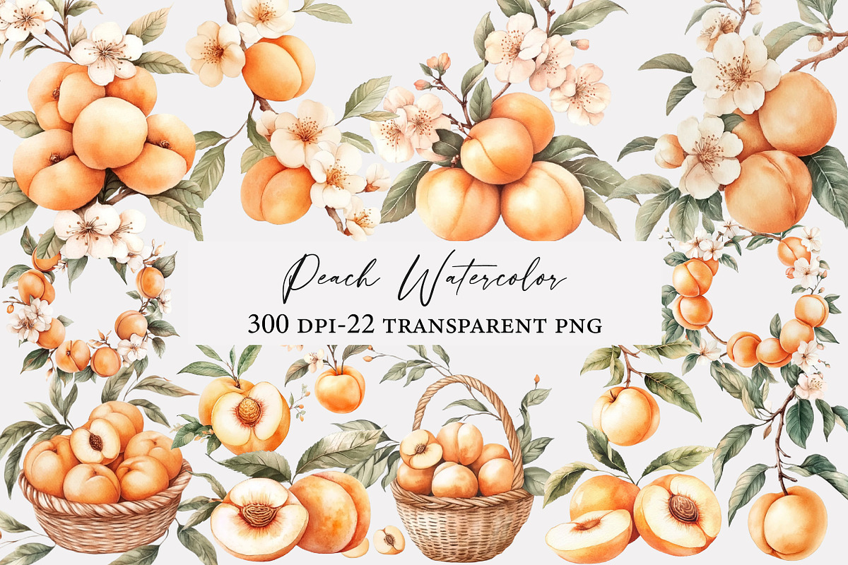 Peach Watercolor Clipart, an Illustration by Designworld (Photo 1 of 5)