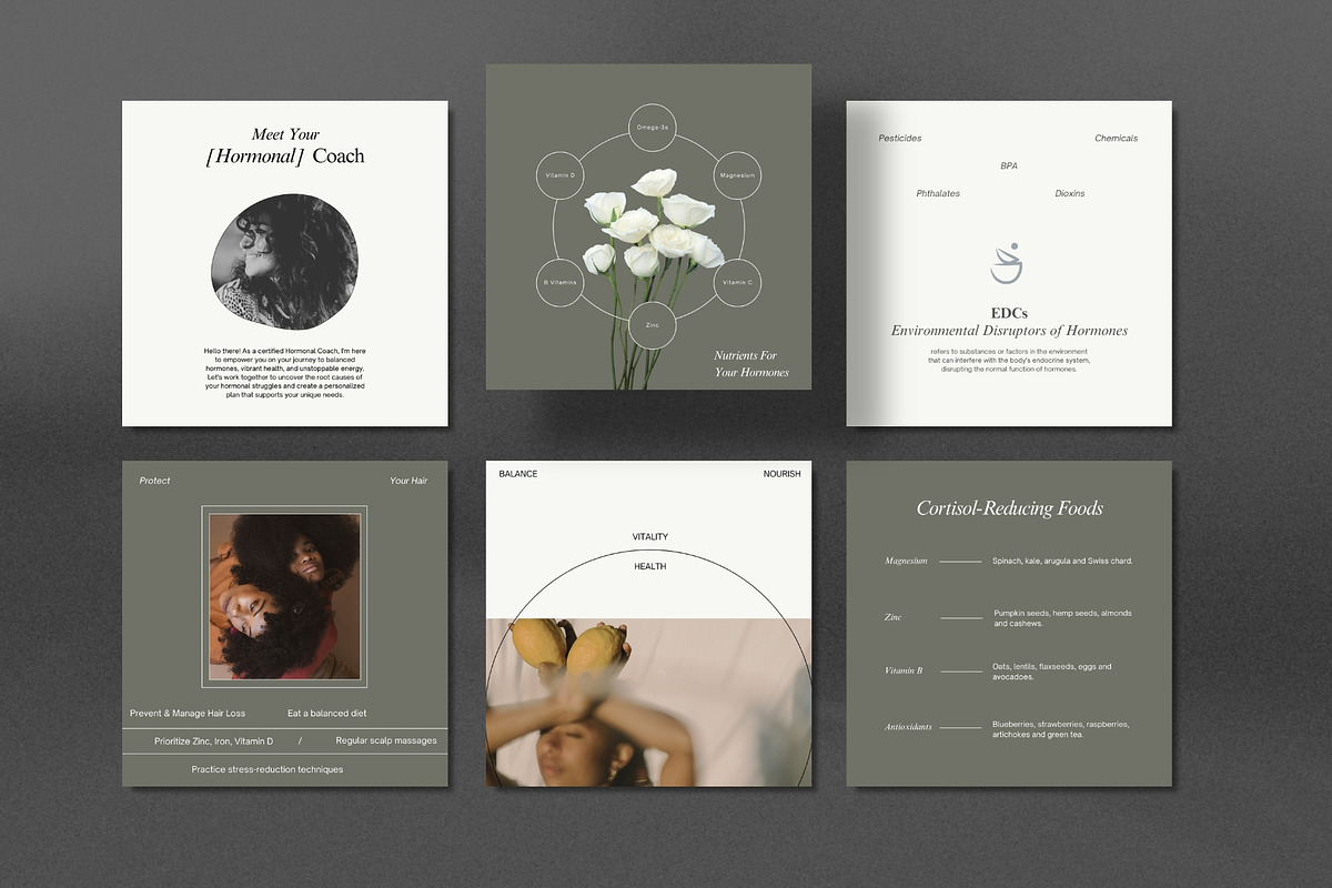 Hormone Health Instagram Templates, a Social Media Template by Terraa Studio Design (Photo 8 of 10)