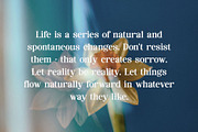 Rakonde - Classy & Stylish Serif, a Serif Font by TypeLogue (Thumbnail 3 of 5)