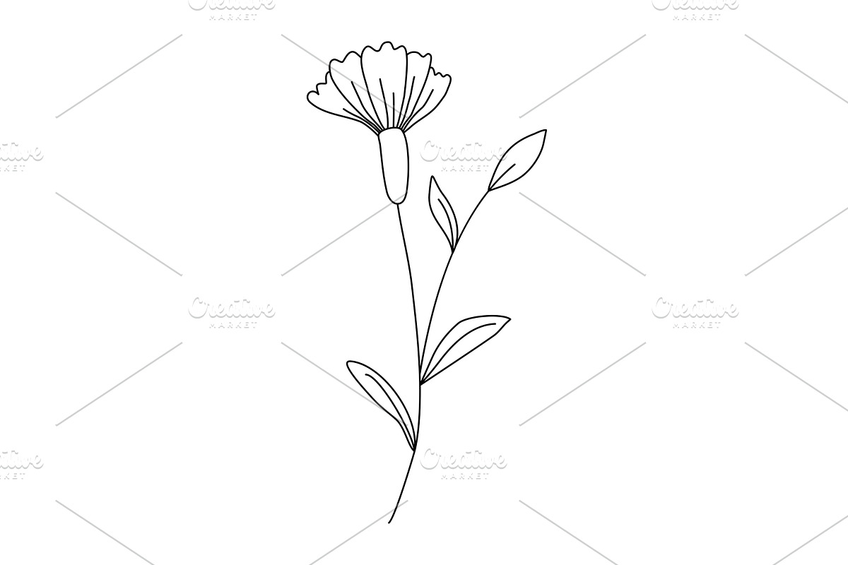 Single wildflower outline ink, an Object Illustration by Tati_Kli
