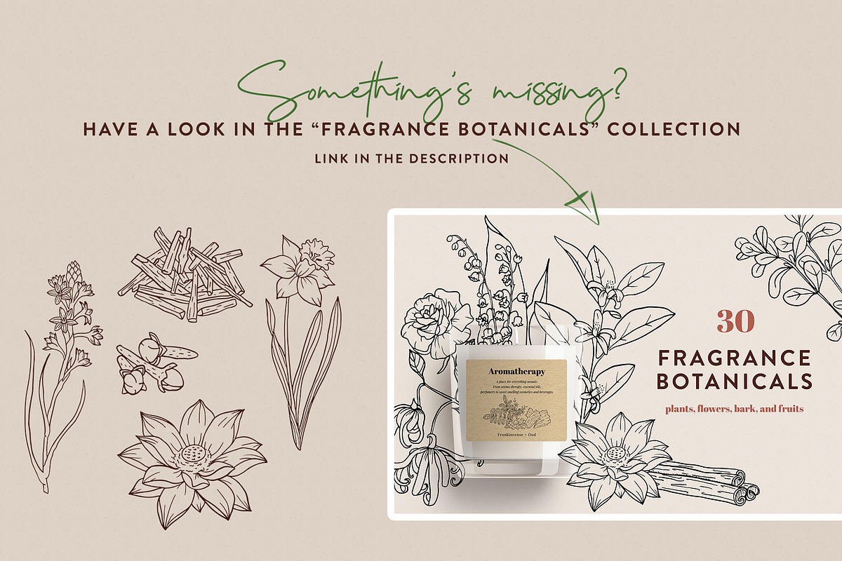 Skin Care Botanicals | 30 designs, a Healthcare Illustration by amber&ink (Photo 8 of 9)