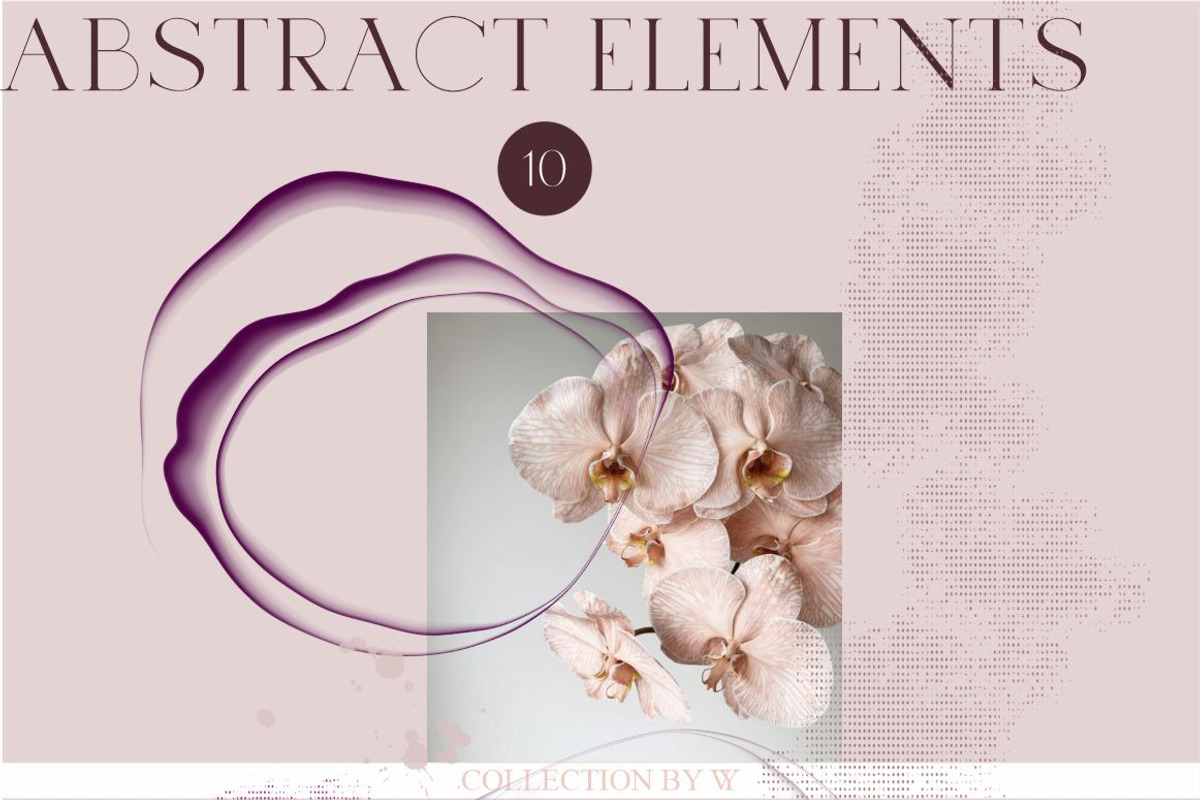 Bohemian Leaves & Orchids, a Decorative Illustration by Collection by VY (Photo 7 of 11)