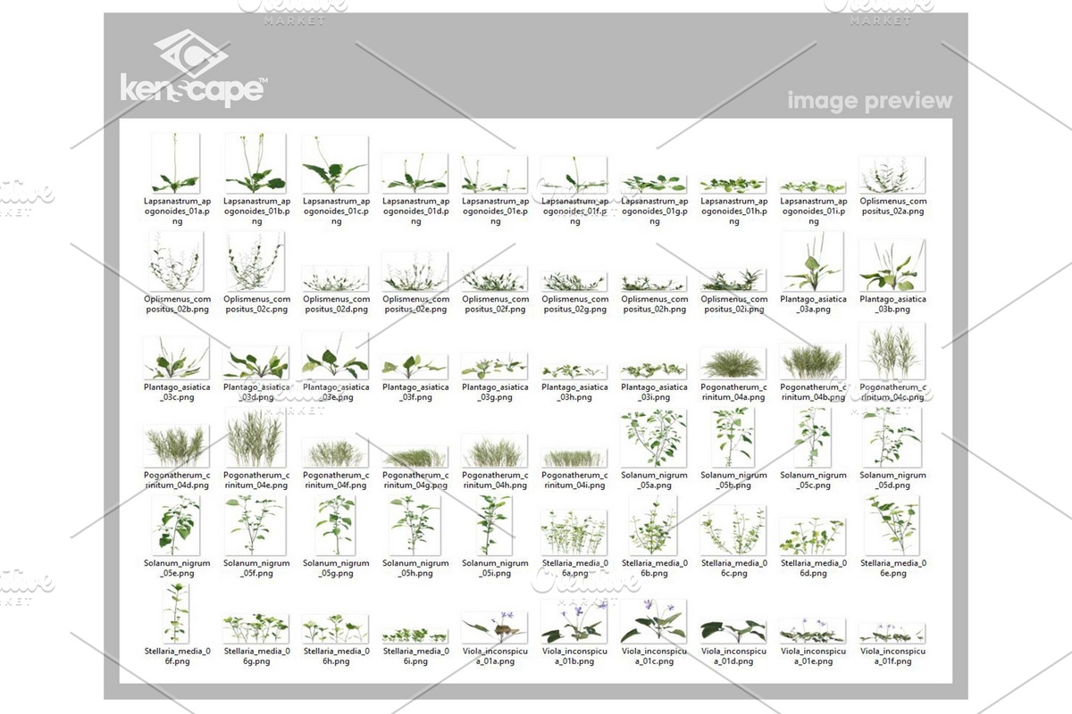 60 Grass Photo Overlays, a Nature Photo by KenScape (Photo 3 of 3)