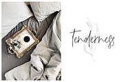 L'aster Font, a Script Font by Calamar Studio (Thumbnail 2 of 14)
