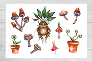 Magic plants and witch's terrariums, an Illustration by Olha's watercolor (Thumbnail 5 of 8)