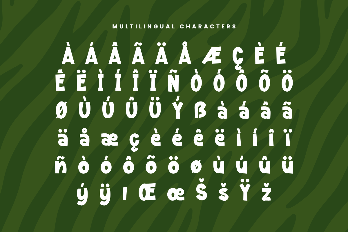Zurambi – Adventure Display Font, a Sans Serif Font by Variatype (Photo 12 of 14)
