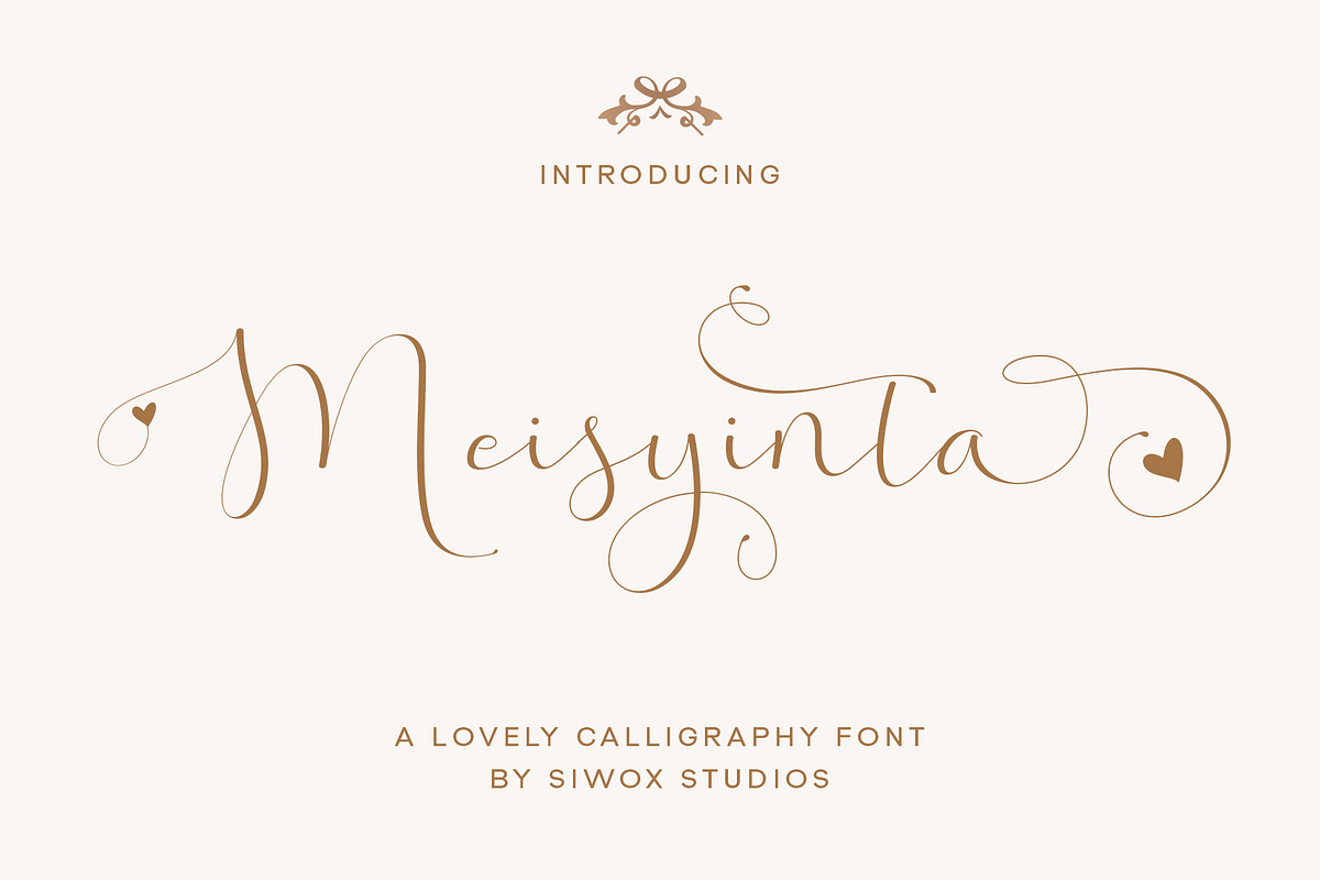 Meisyinta - A Romantic Font, a Script Font by Siwox Studios (Photo 1 of 6)