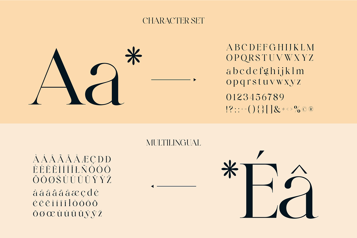 Elegant Ligature Serif Font, a Serif Font by Bekeen.co (Photo 10 of 10)