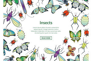 Vector Hand Drawn Insects Background