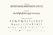 Altovix - Serif Typeface Font, a Serif Font by Rishsketch (Thumbnail 12 of 15)