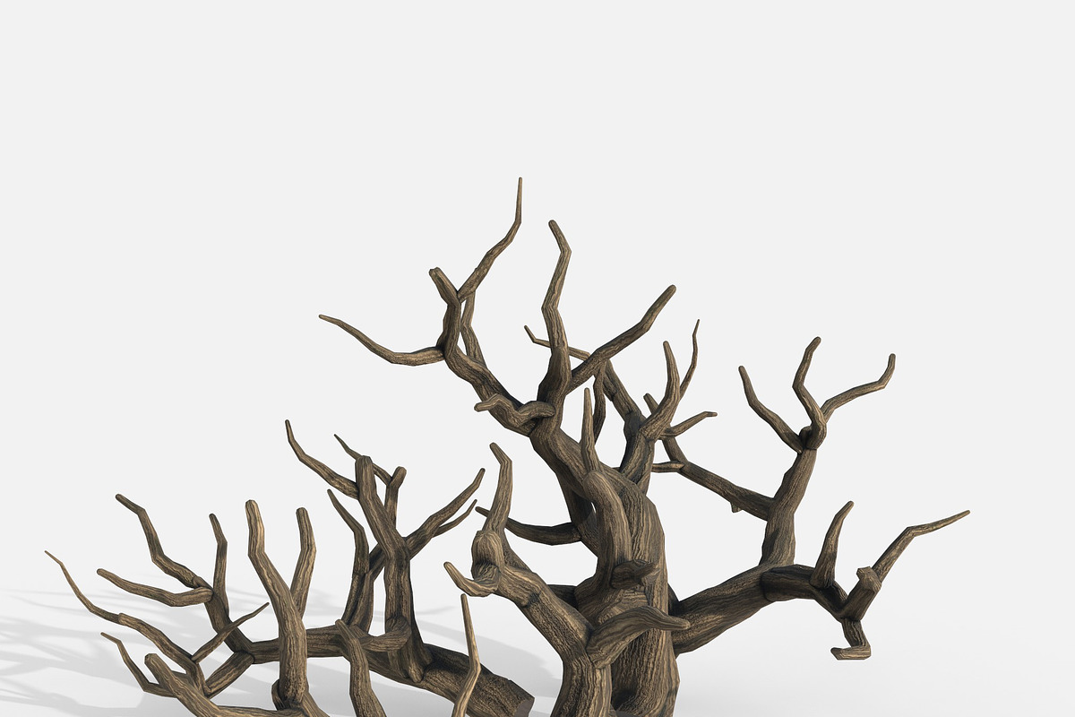 Aquarium Snag Banches V2, an Environmental 3D Model by AndrewWhite (Photo 3 of 8)