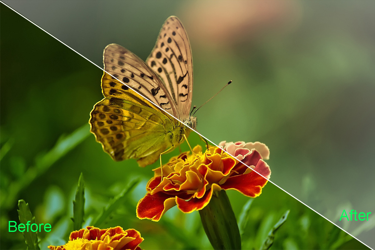 Nature Photoshop Actions 220 Bundle, an Action Add-On by ARTNEST (Photo 5 of 12)