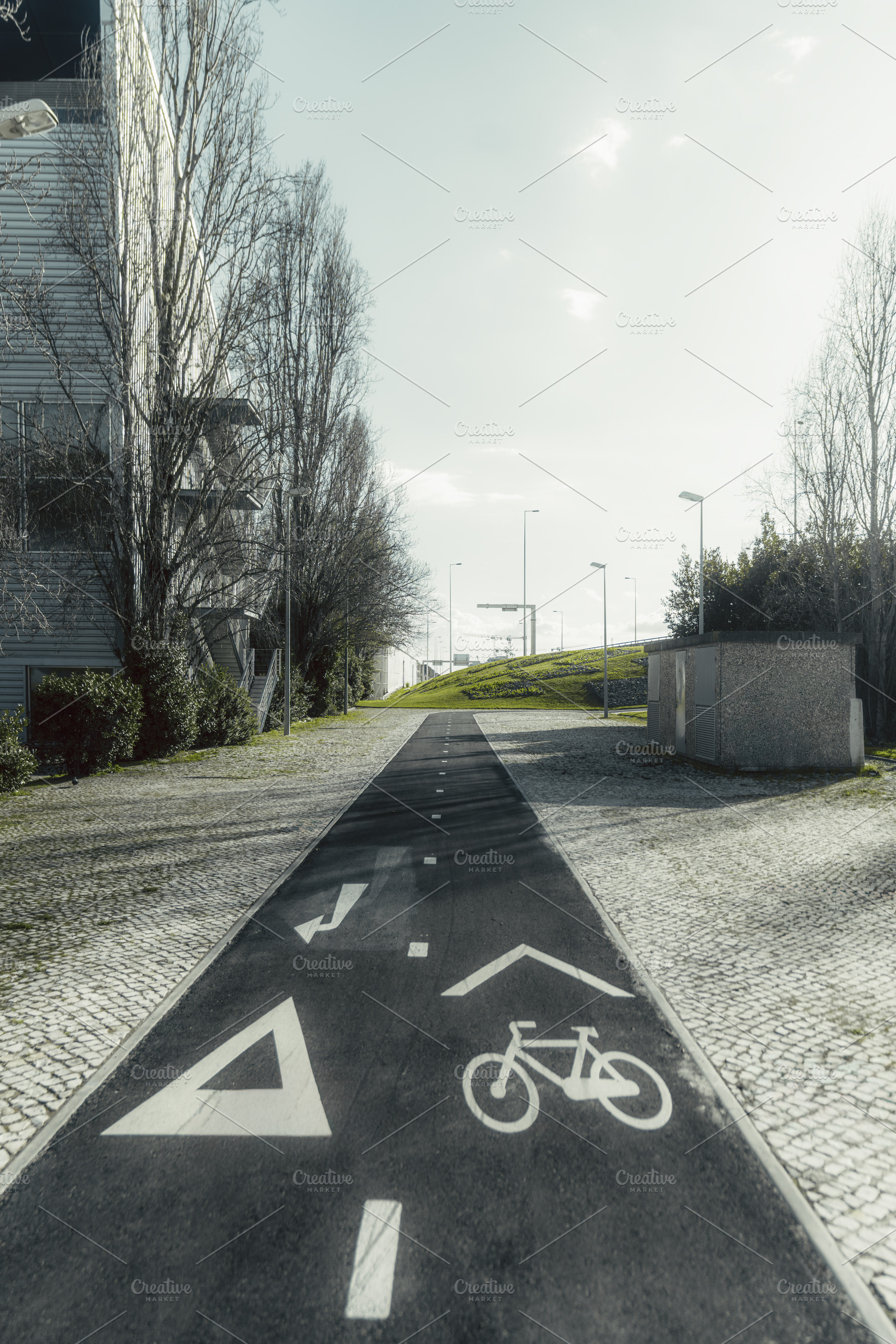 Bike lane with markings, city view, a Transportation Photo by SkyNext