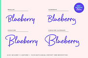 Royal Palms, a Handwritten Font by Sam Parrett (Thumbnail 3 of 10)