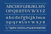 Bonrage Modern Elegant Serif Font, a Serif Font by Vadovastd (Thumbnail 2 of 9)