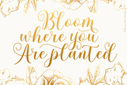 Family Queen, a Script Font by Rotterlab Studio (Thumbnail 5 of 10)