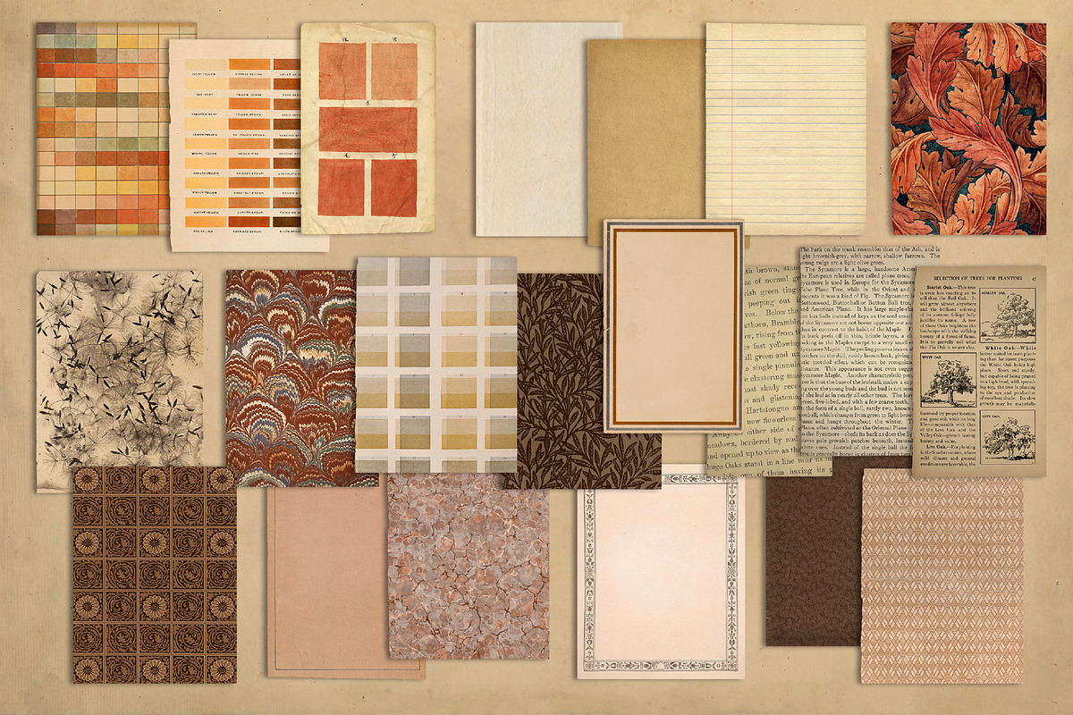 100 Vintage Autumn Ephemera, an Object Graphic by The Object Atlas (Photo 9 of 10)