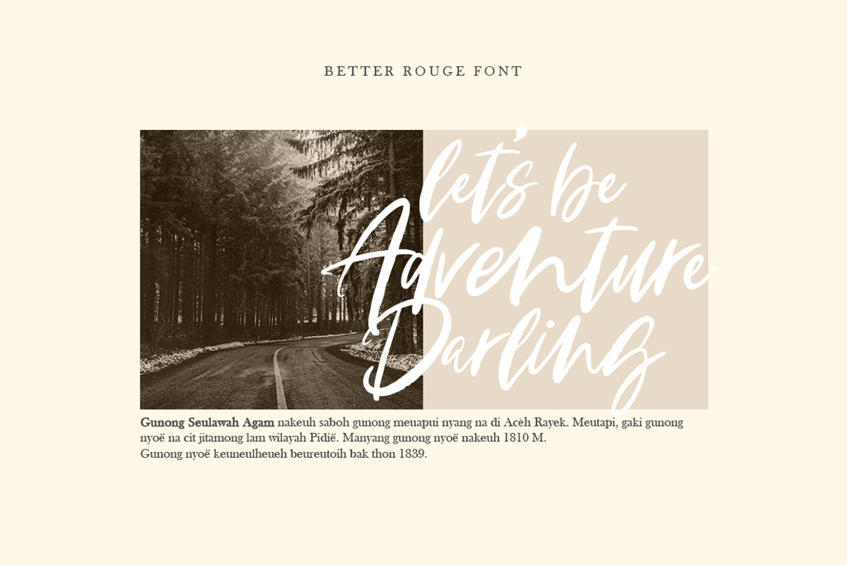 Better Rouge Brush, a Script Font by Fargun Studio (Photo 3 of 12)