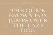 Freco - Modern Serif Font, a Serif Font by AndrewPixelType (Thumbnail 6 of 11)